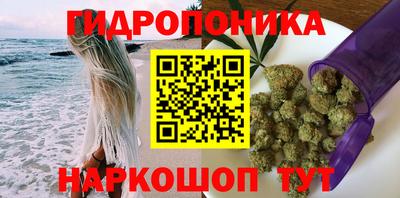 a pvp Гусев