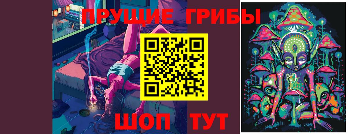 Вятские Поляны  Галлюциногенные грибы прущие грибы  Псилоцибиновые грибы Psilocybine cubensis  Вход с VPN 