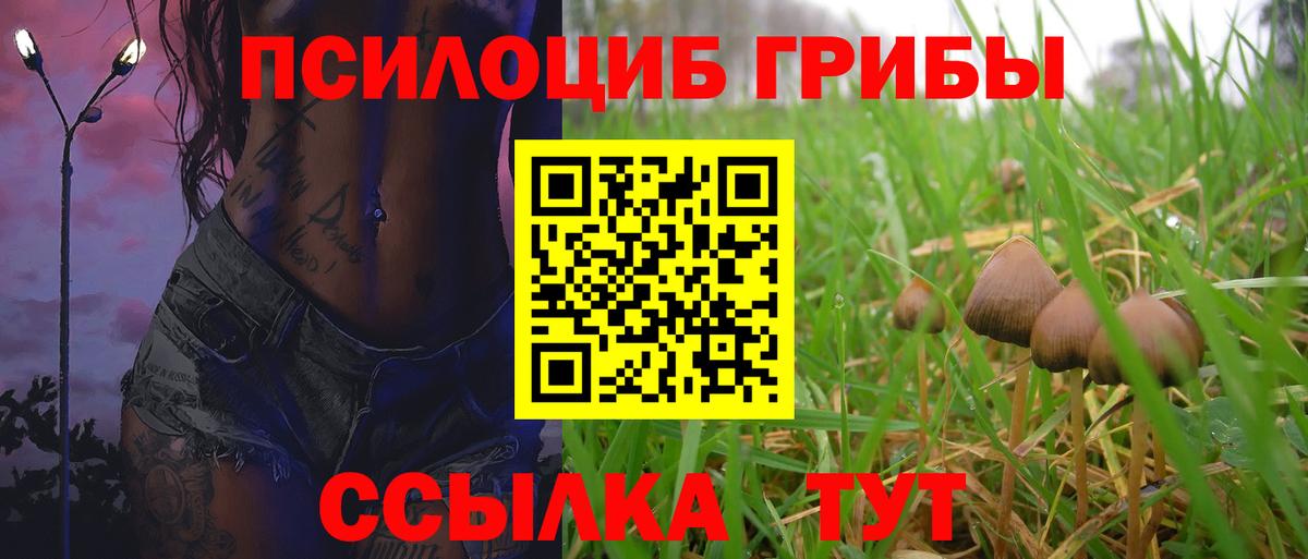 Галлюциногенные грибы ЛСД Вятские Поляны